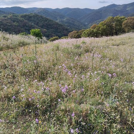 Casa Vacanze Lo Specchio Lägenhet Iglesias Exteriör bild